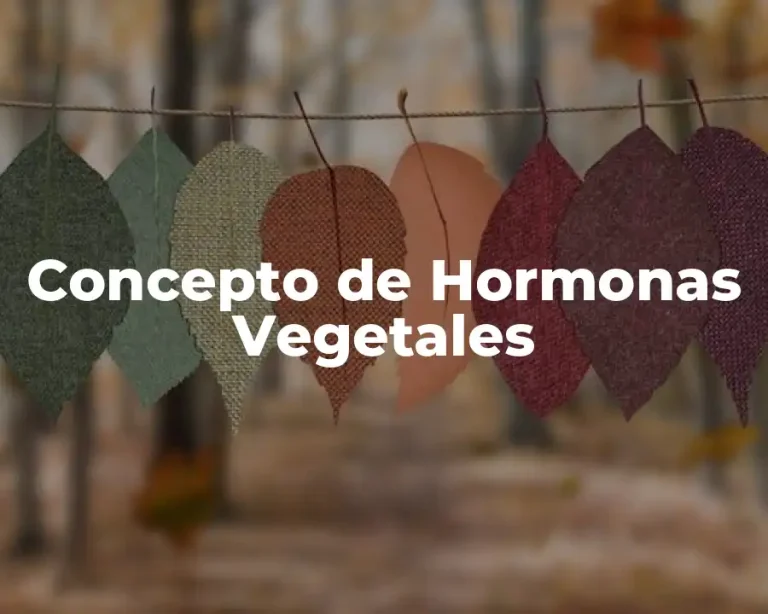 Concepto de Hormonas Vegetales