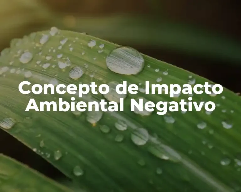 Concepto de Impacto Ambiental Negativo