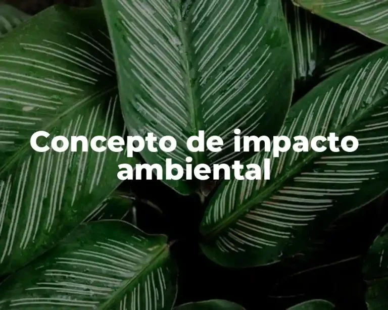 Concepto de impacto ambiental