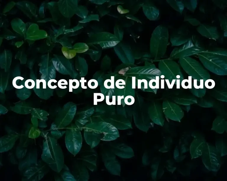 Concepto de Individuo Puro