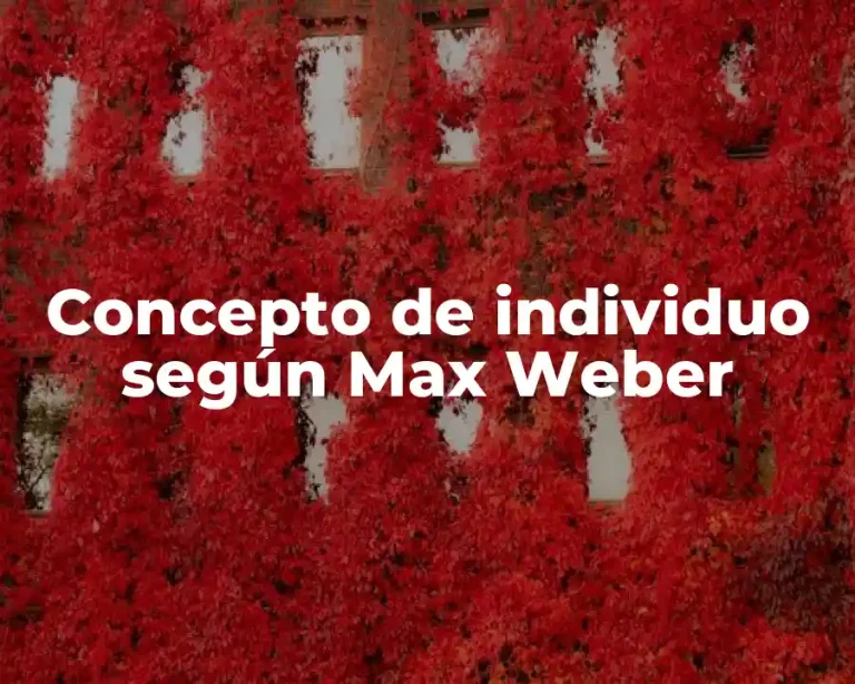 Concepto de individuo según Max Weber