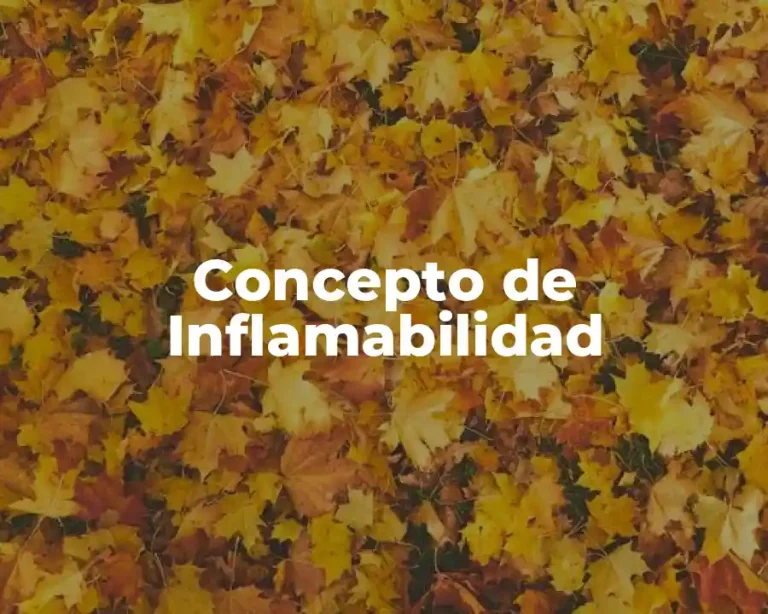 Concepto de Inflamabilidad