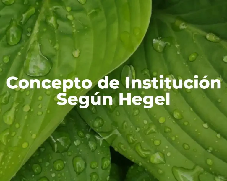 Concepto de Institución Según Hegel
