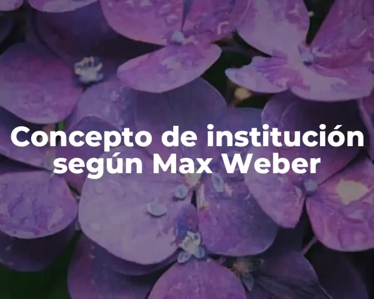 Concepto de institución según Max Weber