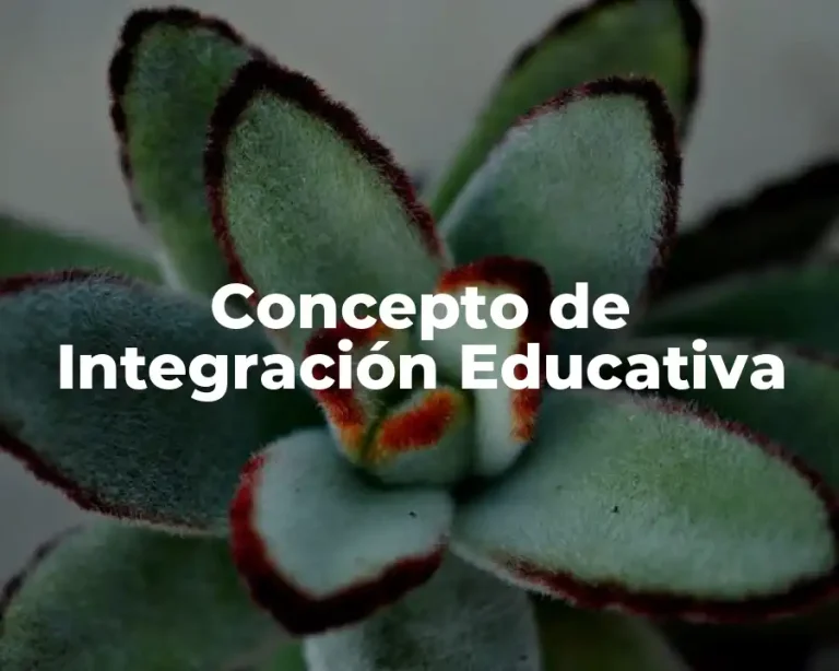 Concepto de Integración Educativa
