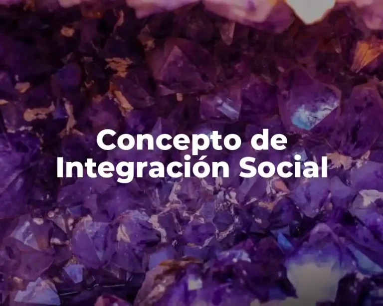 Concepto de Integración Social