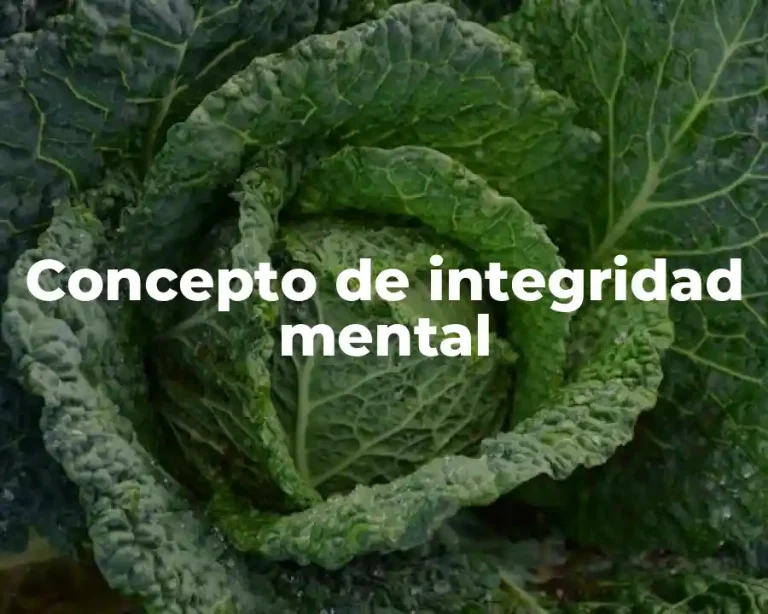 Concepto de integridad mental