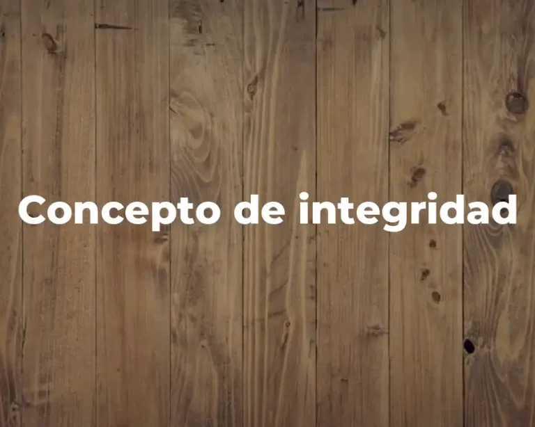 Concepto de integridad
