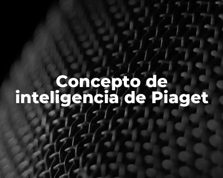 Concepto de inteligencia de Piaget