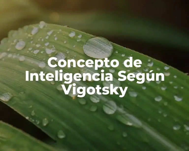Concepto de Inteligencia Según Vigotsky