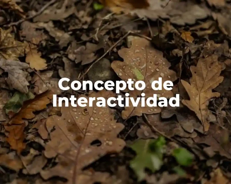Concepto de Interactividad