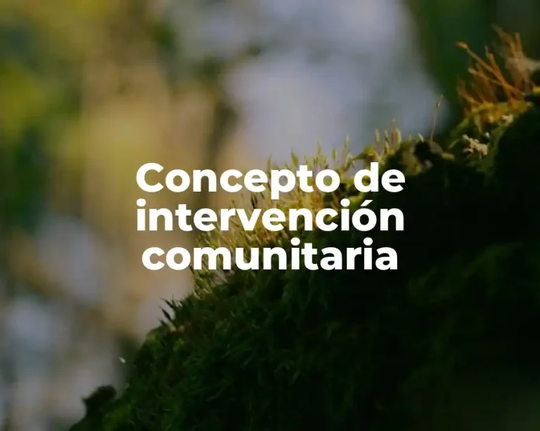 Concepto de intervención comunitaria