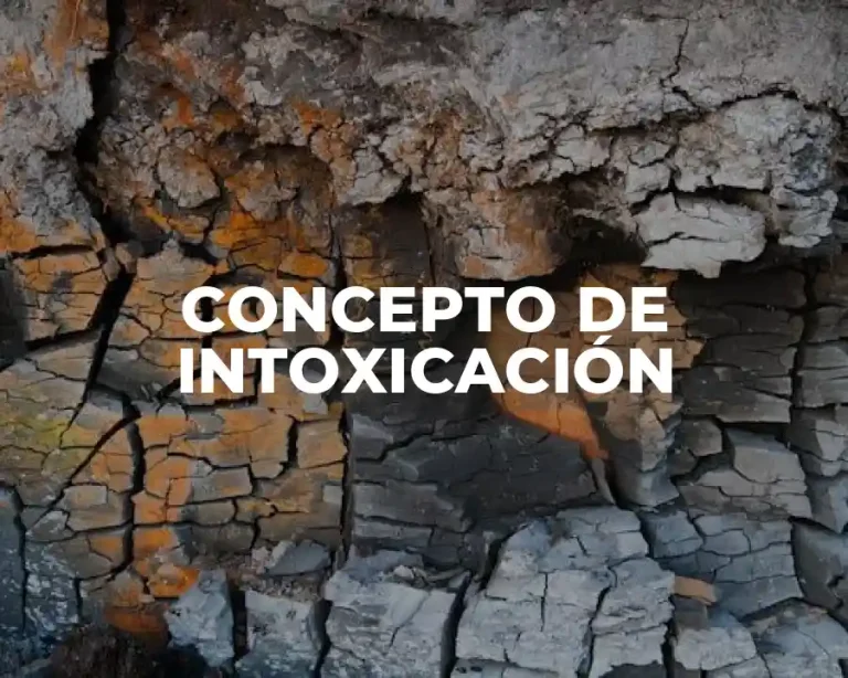 CONCEPTO DE INTOXICACIÓN