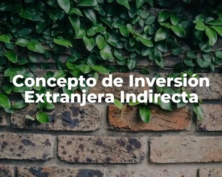 Concepto de Inversión Extranjera Indirecta
