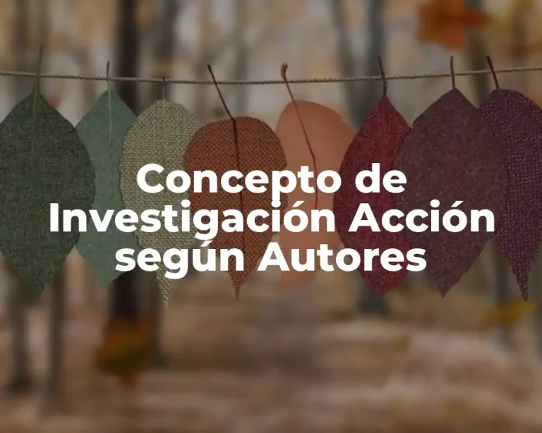 Concepto de Investigación Acción según Autores