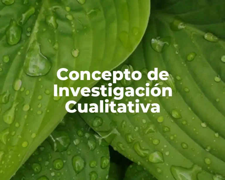 Concepto de Investigación Cualitativa