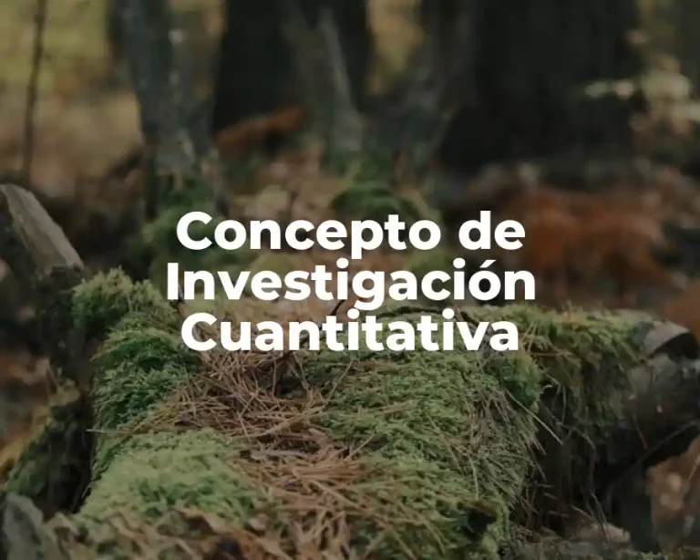 Concepto de Investigación Cuantitativa