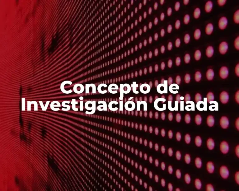 Concepto de Investigación Guiada
