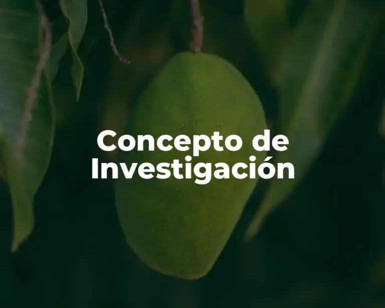 Concepto de Investigación