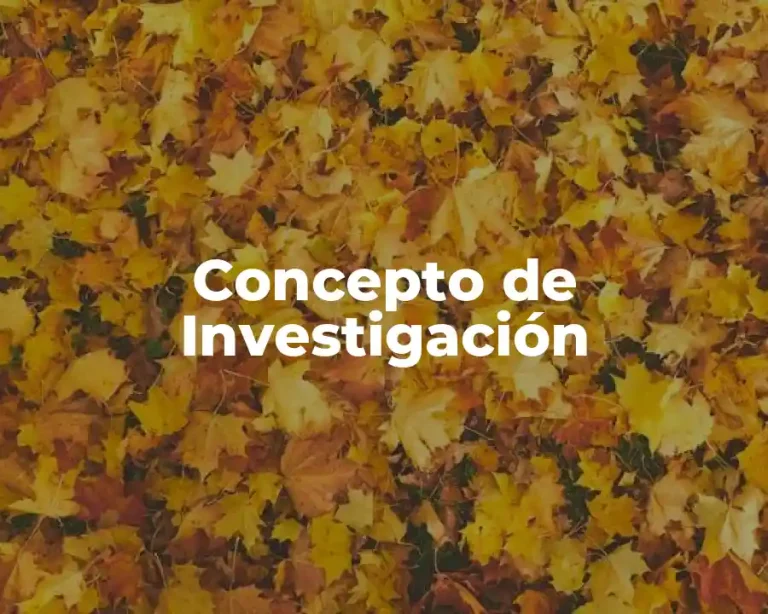 Concepto de Investigación