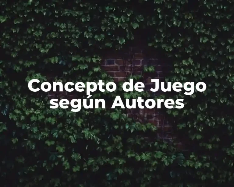 Concepto de Juego según Autores