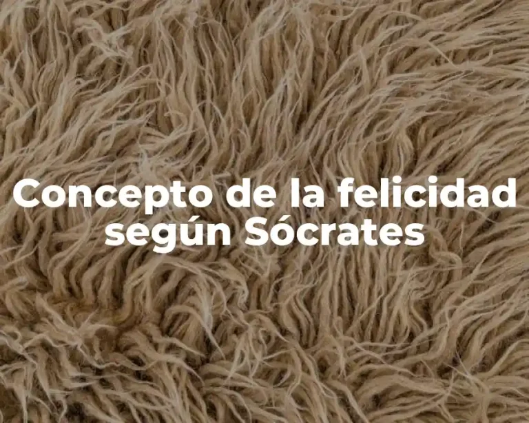 Concepto de la felicidad según Sócrates