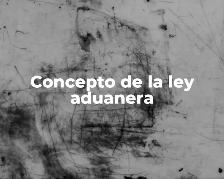 Concepto de la ley aduanera