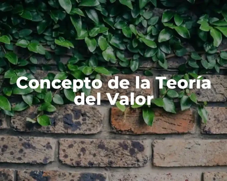 Concepto de la Teoría del Valor