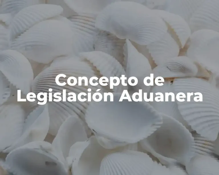 Concepto de Legislación Aduanera