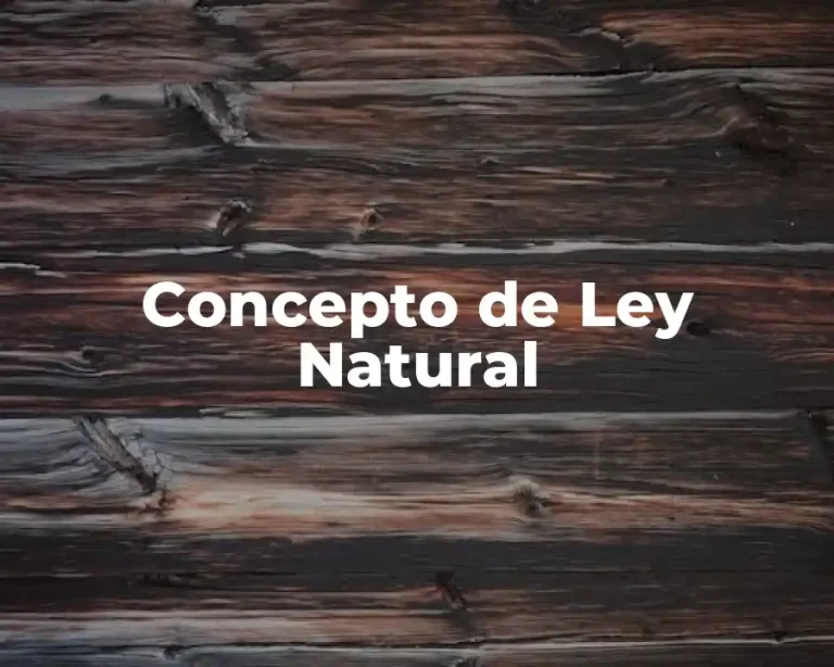 Concepto de Ley Natural