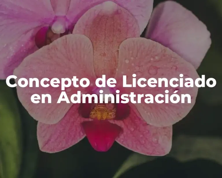 Concepto de Licenciado en Administración