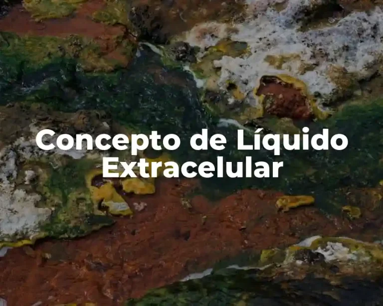 Concepto de Líquido Extracelular