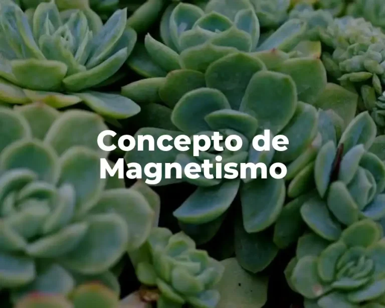 Concepto de Magnetismo