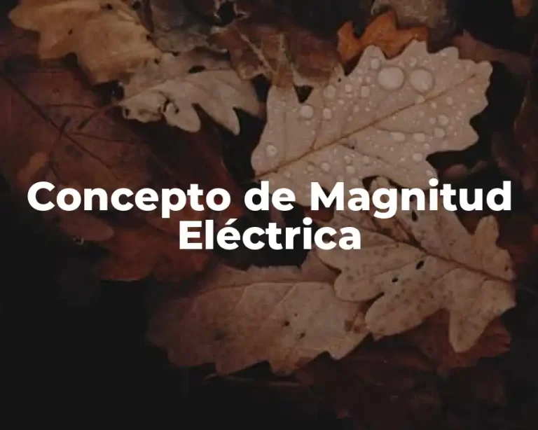 Concepto de Magnitud Eléctrica