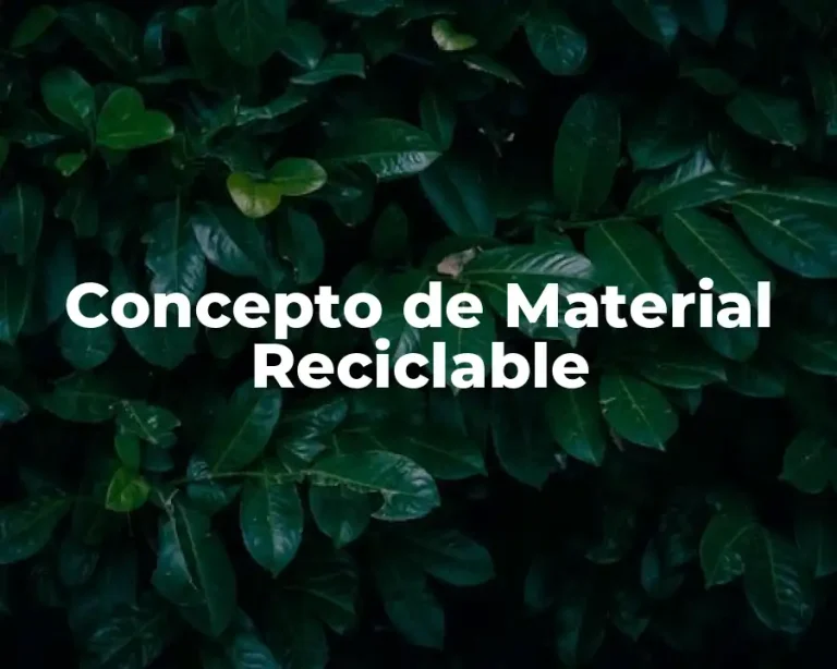 Concepto de Material Reciclable