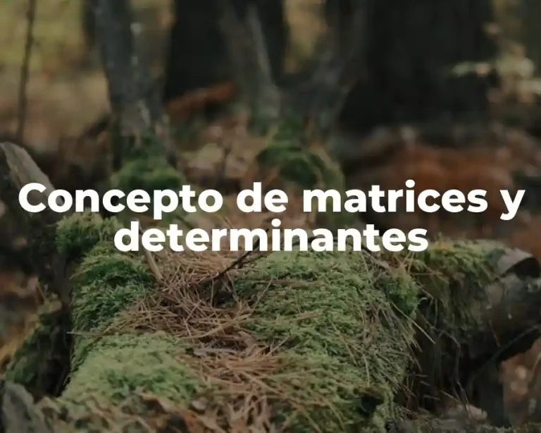 Concepto de matrices y determinantes