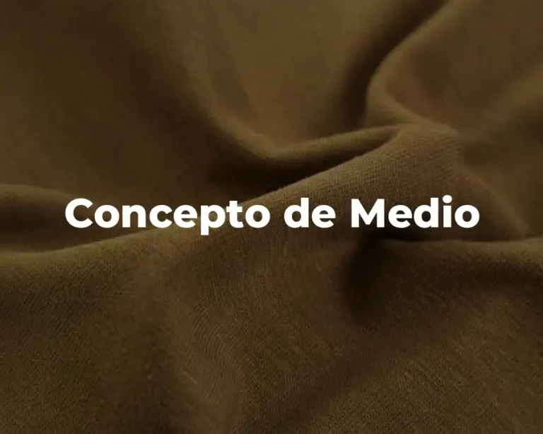 Concepto de Medio