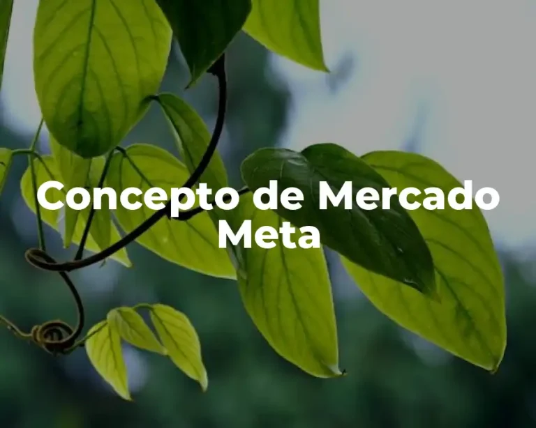 Concepto de Mercado Meta