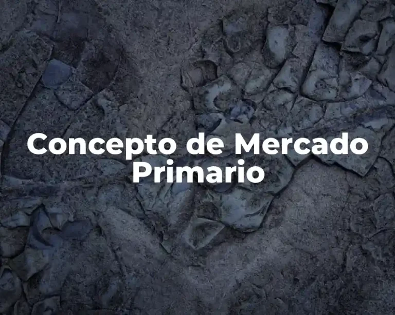 Concepto de Mercado Primario