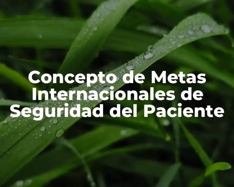 Concepto de Metas Internacionales de Seguridad del Paciente