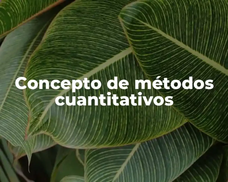 Concepto de métodos cuantitativos
