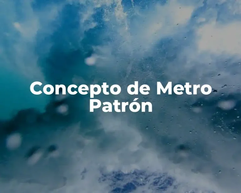 Concepto de Metro Patrón