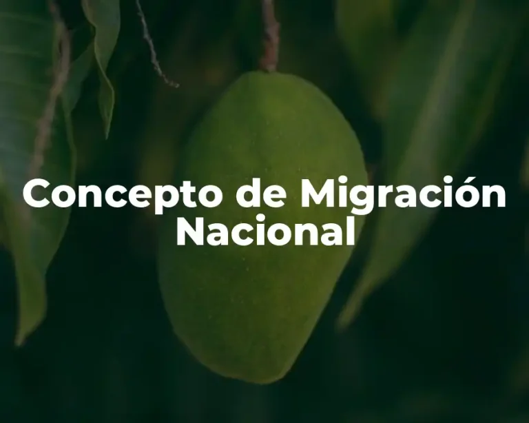 Concepto de Migración Nacional