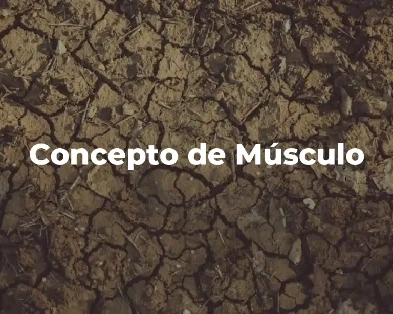 Concepto de Músculo