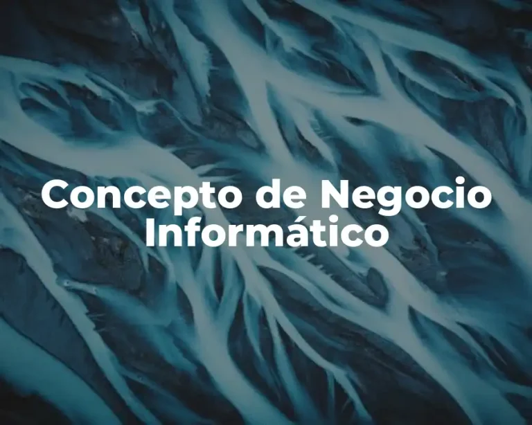 Concepto de Negocio Informático