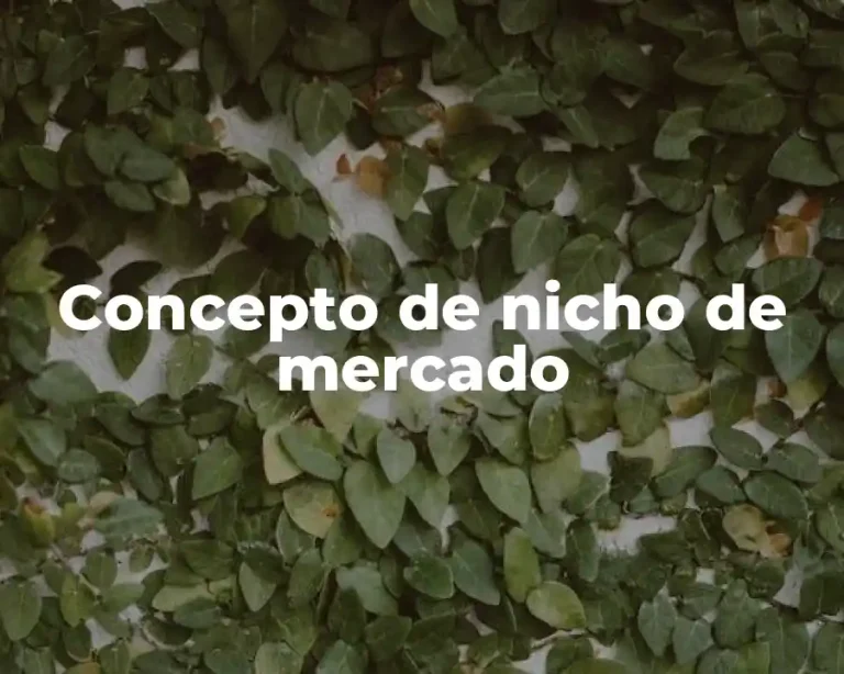 Concepto de nicho de mercado