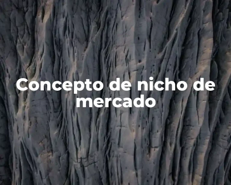 Concepto de nicho de mercado