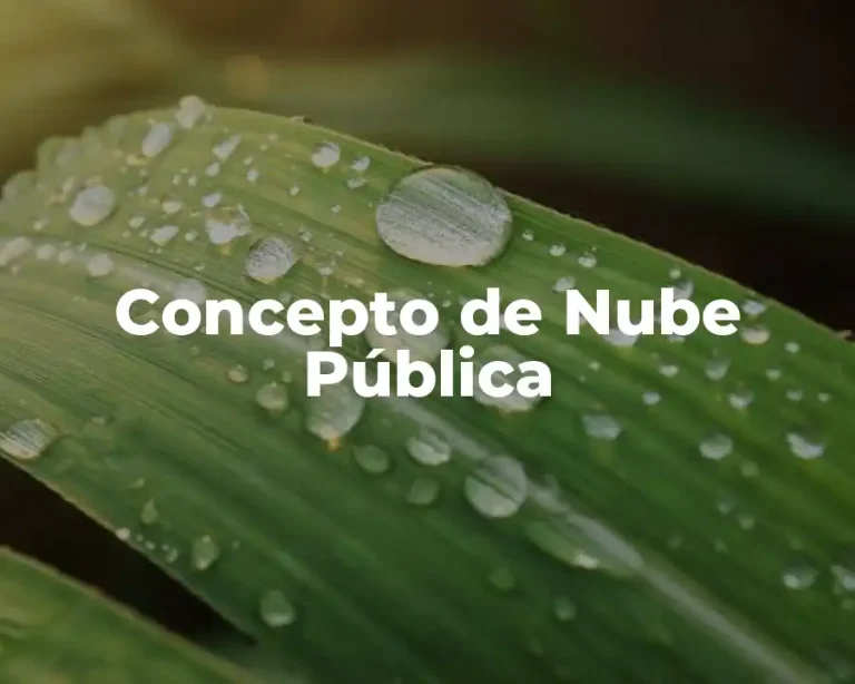 Concepto de Nube Pública