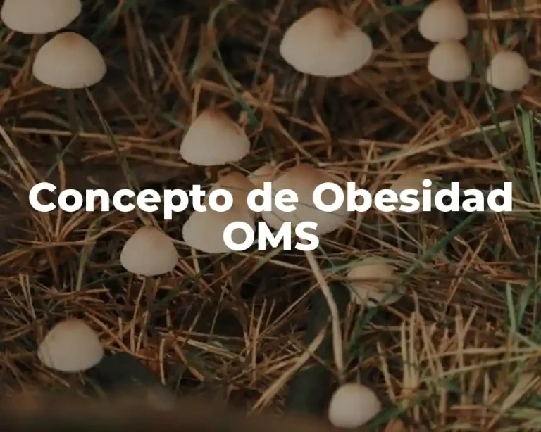 Concepto de Obesidad OMS