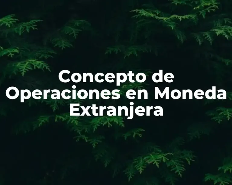 Concepto de Operaciones en Moneda Extranjera